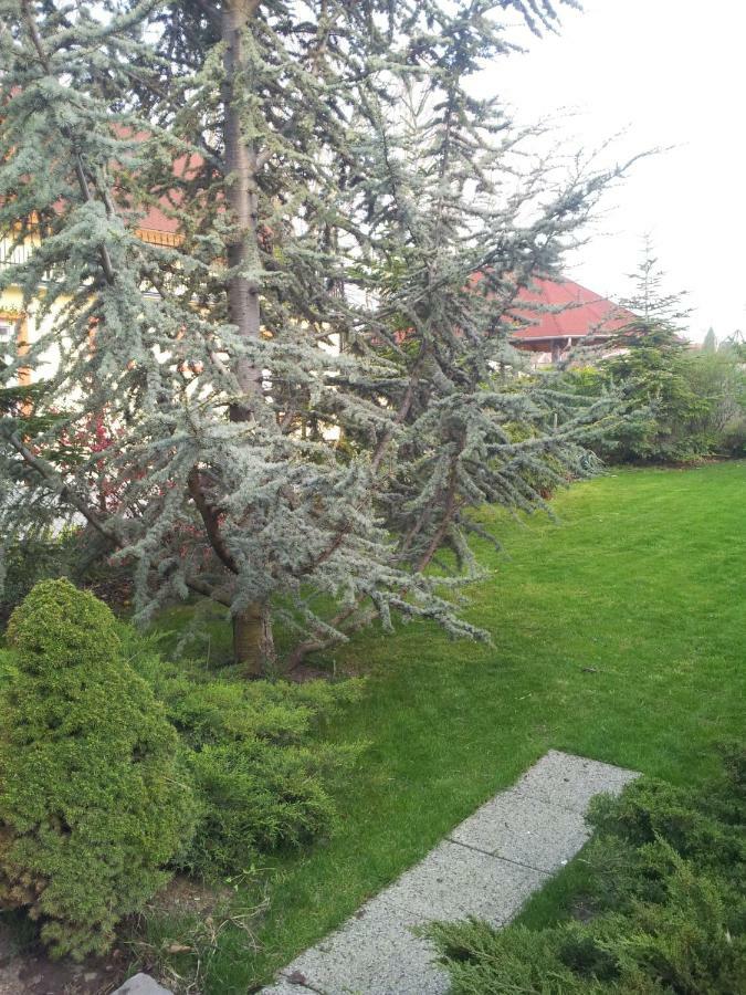 Anna Villa Balatonlelle Esterno foto